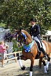 DSEL-62808-682-SteffenPeters-Lombardi11-DeRosaPhoto