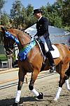 DSEL-62808-685-SteffenPeters-Lombardi11-DeRosaPhoto