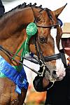DSEL-62808-728-SteffenPeters-Lombardi11-DeRosaPhoto