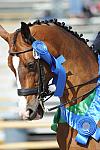 DSEL-62808-731-SteffenPeters-Lombardi11-DeRosaPhoto
