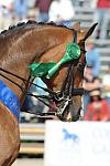DSEL-62808-735-SteffenPeters-Lombardi11-DeRosaPhoto