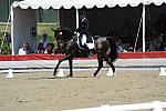 DSEL-62908-1151-SteffenPeters-Ravel-DeRosaPhoto