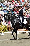 DSEL-62908-1171-SteffenPeters-Ravel-DeRosaPhoto