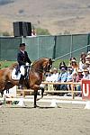 DSEL-62908-929-SteffenPeters-Lombardi11-DeRosaPhoto