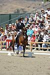 DSEL-62908-931-SteffenPeters-Lombardi11-DeRosaPhoto