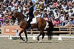 DSEL-62908-952-SteffenPeters-Lombardi11-DeRosaPhoto