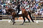 DSEL-62908-953-SteffenPeters-Lombardi11-DeRosaPhoto