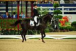 HKD-8-13-08-0319-RyanHeath-GreenoaksDundee-AUS-DeRosaPhoto.jpg