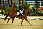 HKD-8-13-08-0543-HeikeKemmer-Bonaparte-GER-DeRosaPhoto.jpg