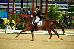 HKD-8-13-08-0546-HeikeKemmer-Bonaparte-GER-DeRosaPhoto.jpg
