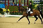 HKD-8-13-08-0957-TinneSilfven-SolosCarex-SWE-DeRosaPhoto.jpg