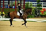 HKD-8-13-08-0981-TinneSilfven-SolosCarex-SWE-DeRosaPhoto.jpg