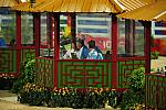 HKD-8-13-08-1078-MiekoYagi-DowJones-JPN-DeRosaPhoto.jpg