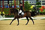 HKD-8-13-08-1158-HayleyBeresford-Relampago-AUS-DeRosaPhoto.jpg