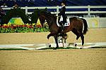 HKD-8-14-08-0234-JuliaChevanne-Calimucho-FRA-DeRosaPhoto.jpg