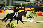 HKD-8-14-08-0450-JordiDomingo-Prestige-ESP-DeRosaPhoto.jpg