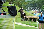 HKEV-8-11-08-0543-AndrewNicholson-LordKillinghurst-NZL-DeRosaPhoto.JPG