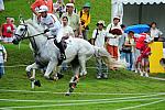 HKEV-8-11-08-0573-HinrichRomeike-Marius-GER-DeRosaPhoto.JPG
