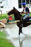 HKEV-8-11-08-0612-FabioMagni-SouthernKingV-ITA-DeRosaPhoto.JPG