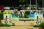 HKEV-8-12-08-0748-MarkTodd-Gandalf-NZL-DeRosaPhoto.jpg