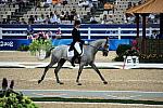 HKEV-8-9-08-014-MarkTodd-Gandolf-DeRosaPhoto.jpg