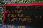 HKEV-8-9-08-169-KatrinNorling-Pandora-DeRosaPhoto.jpg