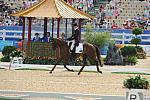 HKEV-8-9-08-381-LucindaFredericks-HeadleyBrittania-AUS-DeRosaPhoto.jpg