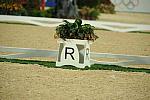 HKEV-8-9-08-503-DeRosaPhoto.jpg