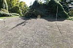 11 Evans-11-01-21-5902-DDeRosaPhoto