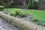 Gardens-IPE-LloydHarbor-5-10-19-7837-DDeRosaPhoto