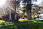 IPE-Lloyd Harbor-Porsche-10-6-19-4681-DDeRosaPhoto