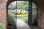 IPE-Lloyd Harbor-Porsche-10-6-19-4825-DDeRosaPhoto
