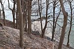 IPE-LloydHarbor-3-28-19-3578-DDeRosaPhoto