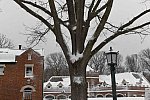 31 Fort Hill-12-17-2020-Snowstorm--0008-DDeRosaPhoto