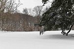 31 Fort Hill-12-17-2020-Snowstorm--0058-DDeRosaPhoto