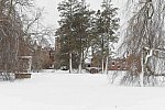 31 Fort Hill-12-17-2020-Snowstorm--0100-DDeRosaPhoto