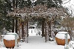 31 Fort Hill-12-17-2020-Snowstorm--0153-DDeRosaPhoto