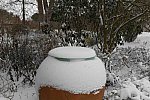 31 Fort Hill-12-17-2020-Snowstorm--0154-DDeRosaPhoto