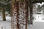 31 Fort Hill-12-17-2020-Snowstorm--0155-DDeRosaPhoto