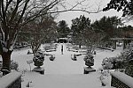 31 Fort Hill-12-17-2020-Snowstorm--0157-DDeRosaPhoto