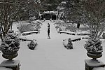 31 Fort Hill-12-17-2020-Snowstorm--0158-DDeRosaPhoto