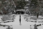 31 Fort Hill-12-17-2020-Snowstorm--0163-DDeRosaPhoto