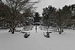 31 Fort Hill-12-17-2020-Snowstorm--0165-DDeRosaPhoto