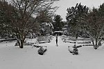 31 Fort Hill-12-17-2020-Snowstorm--0168-DDeRosaPhoto