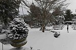 31 Fort Hill-12-17-2020-Snowstorm--0170-DDeRosaPhoto
