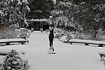 31 Fort Hill-12-17-2020-Snowstorm--0173-DDeRosaPhoto