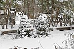 31 Fort Hill-12-17-2020-Snowstorm--0178-DDeRosaPhoto