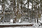 31 Fort Hill-12-17-2020-Snowstorm--0182-DDeRosaPhoto