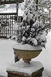 31 Fort Hill-12-17-2020-Snowstorm--0191-DDeRosaPhoto