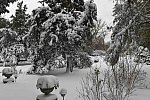 31 Fort Hill-12-17-2020-Snowstorm--0192-DDeRosaPhoto